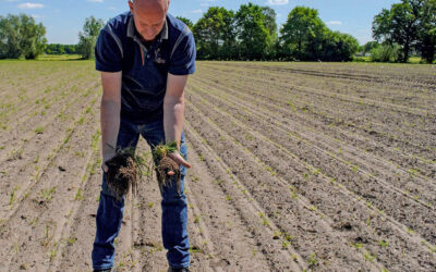 Stoppen met pleisters plakken